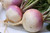 Turnip 1kg