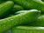 Baby cucumber NORMAL LB 1kg