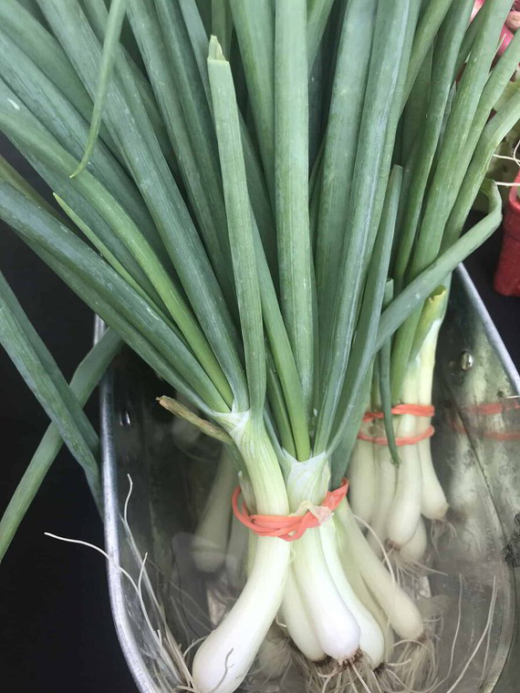 Green onion