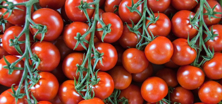 VINE TOMATOS 5KG