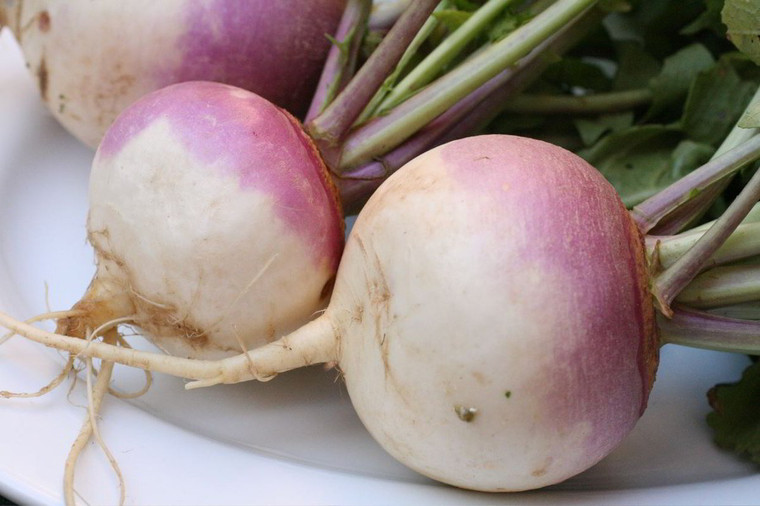 Turnip 1kg